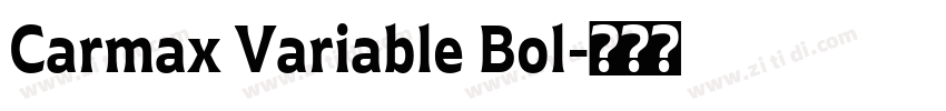 Carmax Variable Bol字体转换